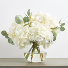 Blissful Blooming Hydrangea 