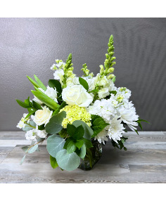 Category Image
