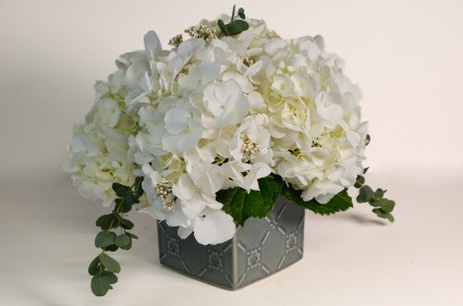 Blissful Elegance