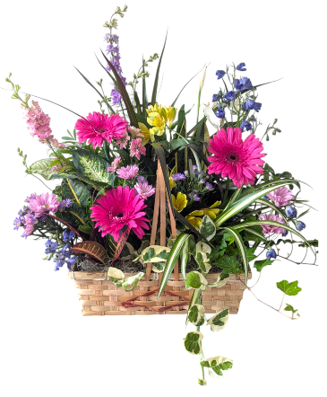 Blissful Garden Basket Dish Garden in Fitchburg, MA | CAULEY'S FLORIST & GARDEN CENTER