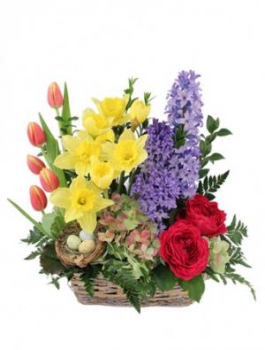 Blissful Garden Flower Basket in Janesville, WI | BARB'S ALL SEASONS FLOWERS