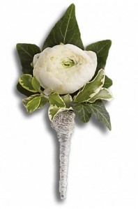 Category Image