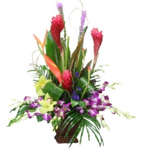 BLISSFULLY TROPICAL Flower Arrangement in Riverside, CA | Willow Branch Florist of Riverside BLISSFULLY TROPICAL Flower Arrangement in Riverside, CA | Willow Branch Florist of Riverside