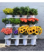 Bloom Bar Services