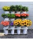Bloom Bar Services