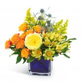Bloom Bright Arrangement