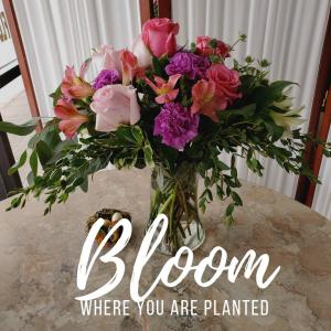 Bloom where you are planted Mother's Day