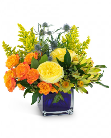 Bloom with Brilliance Arrangement