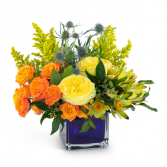 Bloom with Brilliance Arrangement