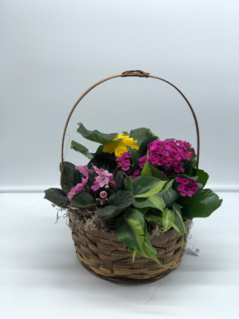 Bloomin' Basket Planter