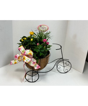 Bloomin Bicycle Planter  Plant 