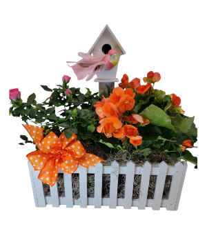 Bloomin' Birdhouse Planter 