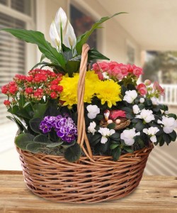 Bloomin Flawors For you. Roma  florist & Green 