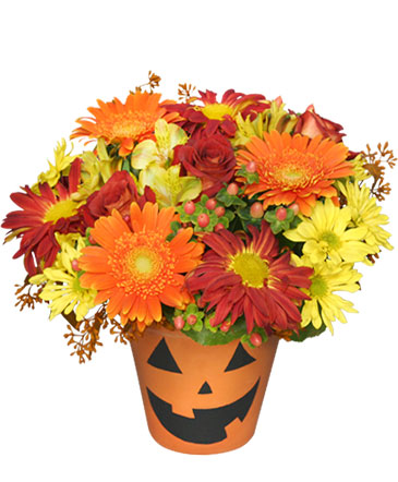Bloomin' Jack-O-Lantern Halloween Flowers in Angola, IN | Out Of The Woods Florist