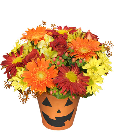 Bloomin' Jack-O-Lantern Halloween Flowers in Hot Springs, AR | THE ARRANGEMENT