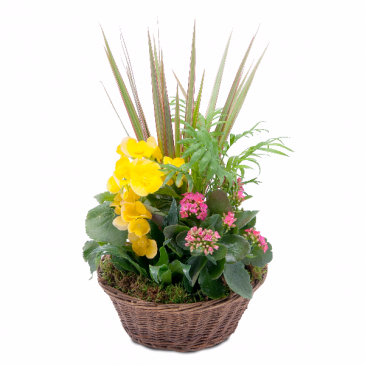 Bloomin' Sunshine Basket Basket