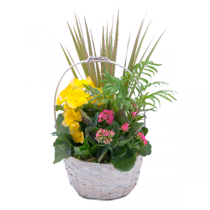 Bloomin' Sunshine Days Basket Arrangement