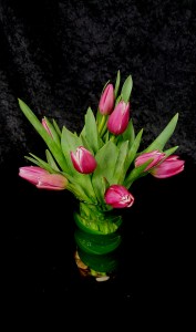 Blooming Adoration Fresh Cut Tulips