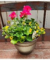 Blooming All Summer Combination Pot