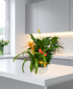 Blooming Autumn Beauty Dish Garden