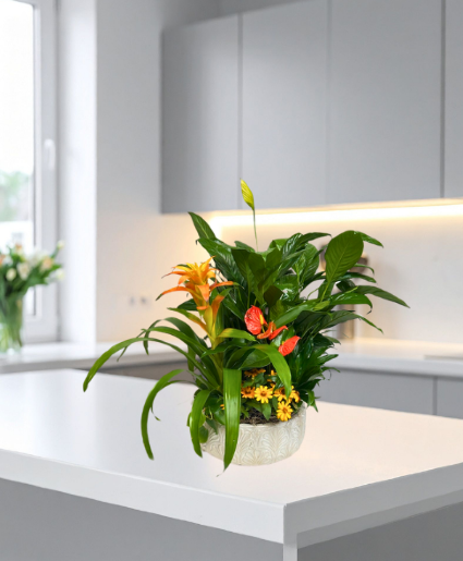 Blooming Autumn Beauty Dish Garden