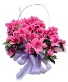 Blooming Azalea Plant 