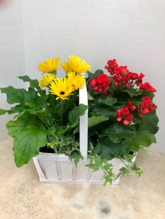 Blooming Basket #1