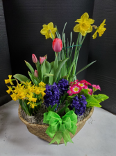Blooming Basket Blooming basket with seasonal flowers