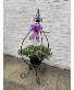 Blooming Basket in Stand Blooming Plant