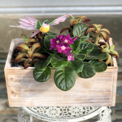 Blooming Bird Bath European garden