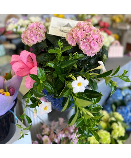 Blooming Blues Outdoor Plant Arrangement