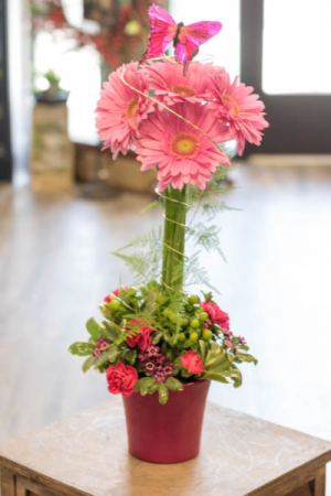 Blooming Brightly