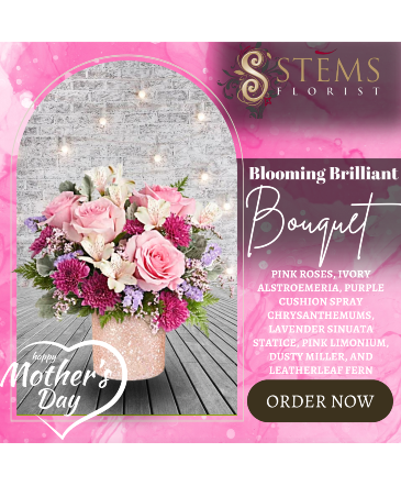 Blooming Brilliant  in Vacaville, CA | Stems Florist