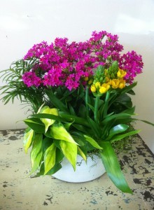 Blooming Container Garden