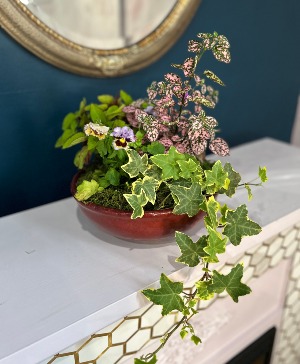 Blooming Dish Garden 