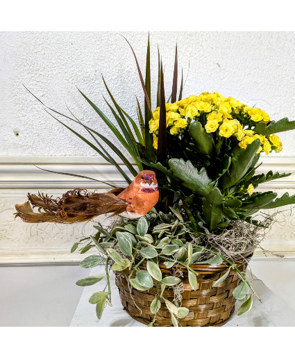 Blooming Dish Garden 