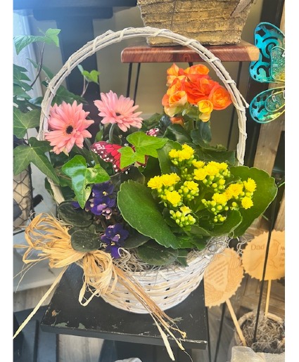 Blooming Dish Garden