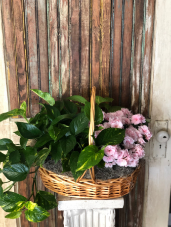 Blooming Double Plant Basket