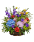 Blooming Fireworks Flowers