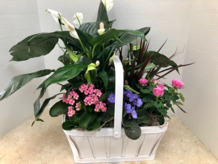 Blooming Garden Basket #2
