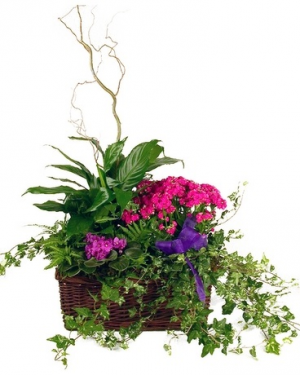 Blooming Garden Basket 