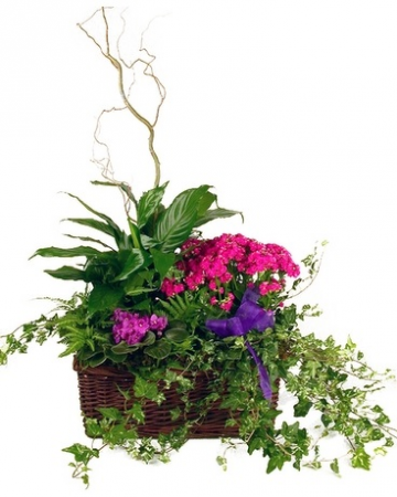 Blooming Garden Basket  in Southern Pines, NC | Hollyfield Design Inc.