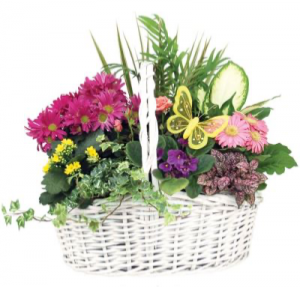 Blooming Garden Basket in Ozone Park, NY | Heavenly Florist Blooming Garden Basket in Ozone Park, NY | Heavenly Florist