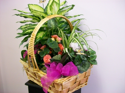 Blooming Garden Basket Plants