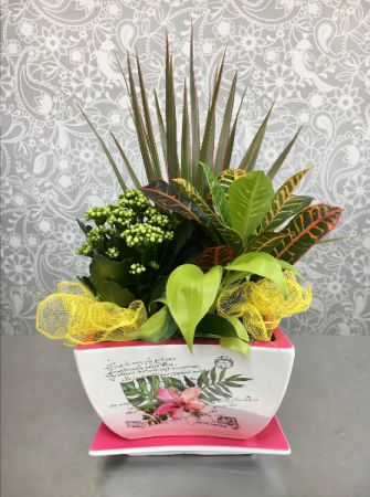 Blooming Garden Dish Garden