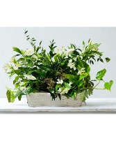 Blooming Garden Garden basket with live plants and fresh greens and flowers