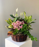 Blooming Garden Medium 