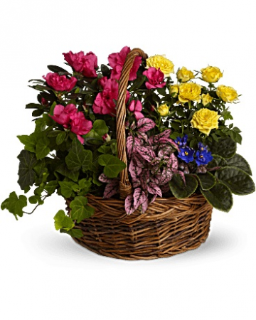 Blooming Garden Mixed Plant Basket