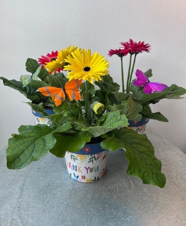 Blooming Gerbera Thank You   in La Grande, OR | FITZGERALD FLOWERS