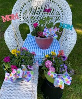 BLOOMING GOOD TIME OUTDOOR GARDEN COLORFUL ASST FOR ANY OCCASION